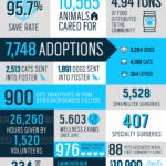 2020 Statistics KC Pet Project