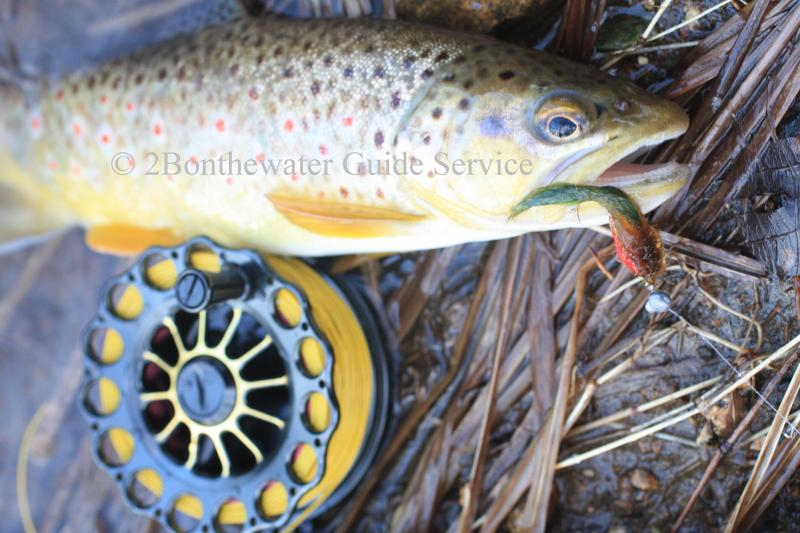 2Bonthewater Guide Service Reports December 22 2010 Fished Antietam 