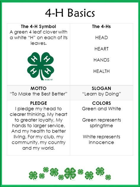 4 h Pledge And Motto Related Keywords Suggestions 4 h Pledge