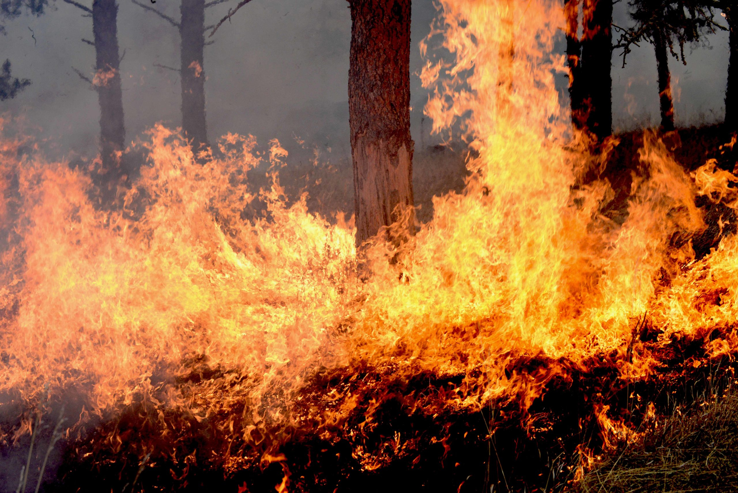 Austin Firefighters Look To California To Combat Wildfire Risk Austin 