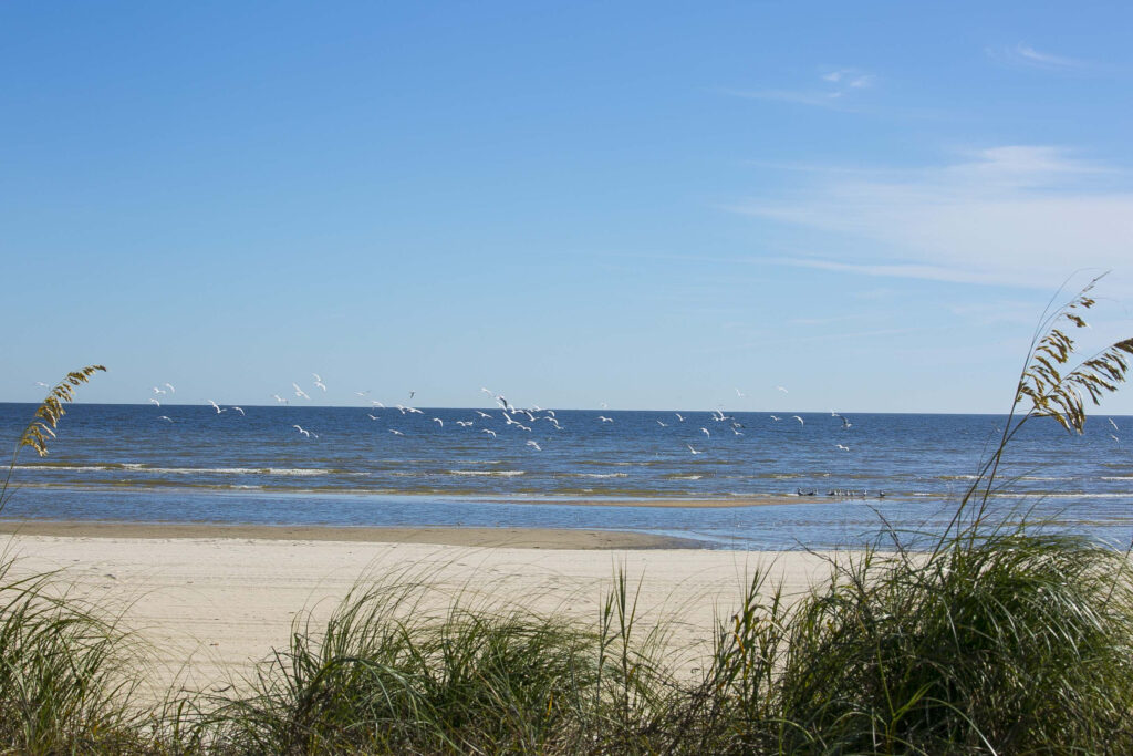 Beaches Diamondhead Mississippi