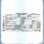 Birth Certificate Template Doc Best Of Sacramento California Birth