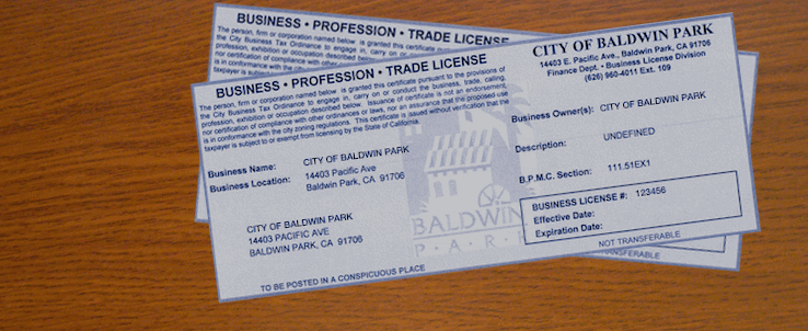 Business Licenses