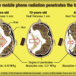 Cell Phone Radiation A Major Issue Warns California Department Of