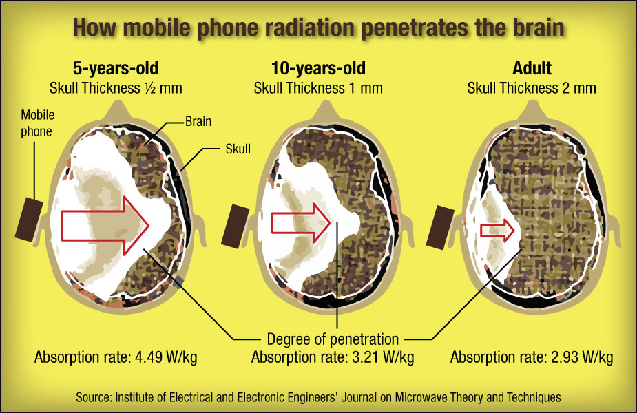 Cell Phone Radiation A Major Issue Warns California Department Of 