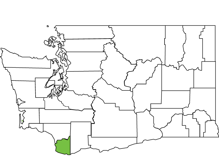 Clark County Spotlight Washington State Association Of Counties