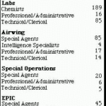 DEA Publications Briefing Book DEA Staffing