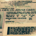 Driver s License Renewal Non Professional 2020 Updated