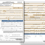 DS 11 New Passport Application Form