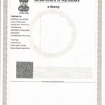 E Stamp Paper Karnataka EDrafter