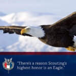 Eagle Scout Advancement Boy Scouts Of America Dan Beard Council