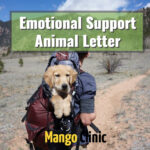 Emotional Support Animal Letter For Travel Housing Mango Clinic