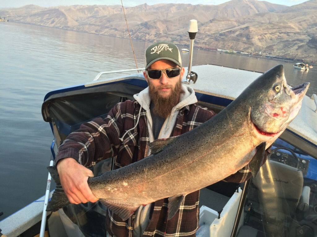 Fall Chinook Hitting At Snake Clearwater Confluence The Spokesman Review