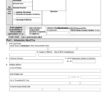 Fillable Form N 565 Application For Replacement Naturalization