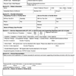 Fillable Standard Prior Authorization Request Form United Healthcare