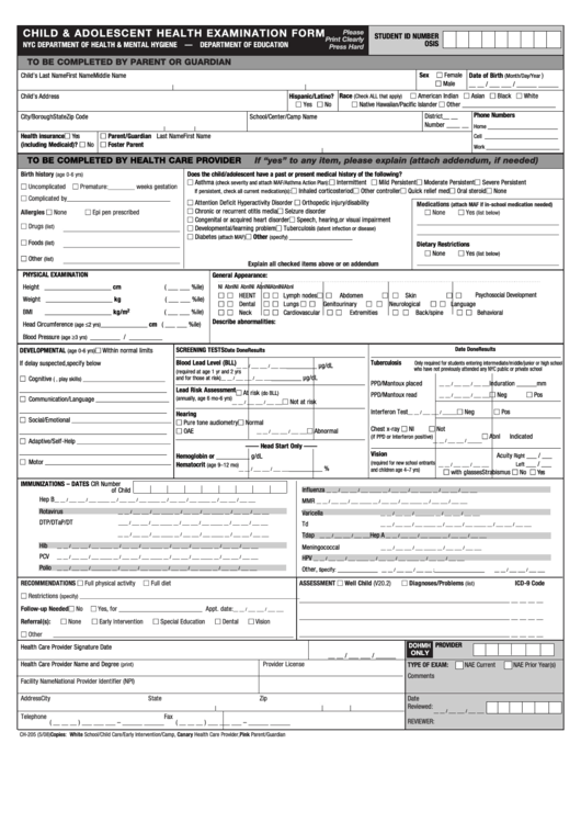 Form Ch 205 Child Adolescent Health Examination Form Printable Pdf 
