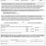 Form H3038 P Download Fillable PDF Or Fill Online Chip Perinatal