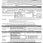 FREE 50 Leave Application Forms In PDF MS Word Excel