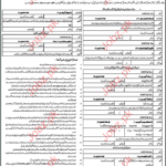 Jobs AJKPSC Public Service Commission AJK 2021 Job Advertisement Pakistan