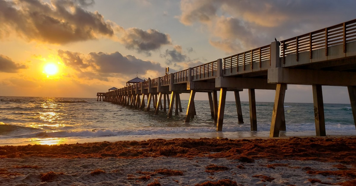 Juno Beach Moving Company Safebound Moving Storage