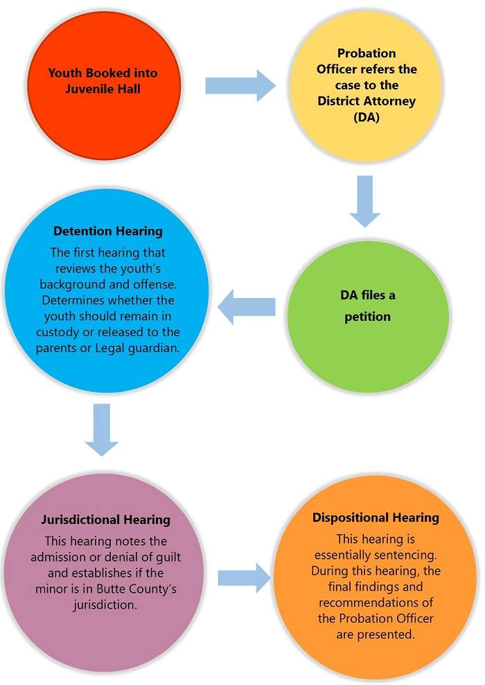 Juvenile Court Process