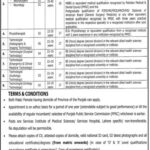 Latest Jobs In Lahore Services Hospital 2021 Jobs In Lahore