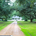 Oakland Plantation Oakland Plantation Is Situated On A Be Flickr