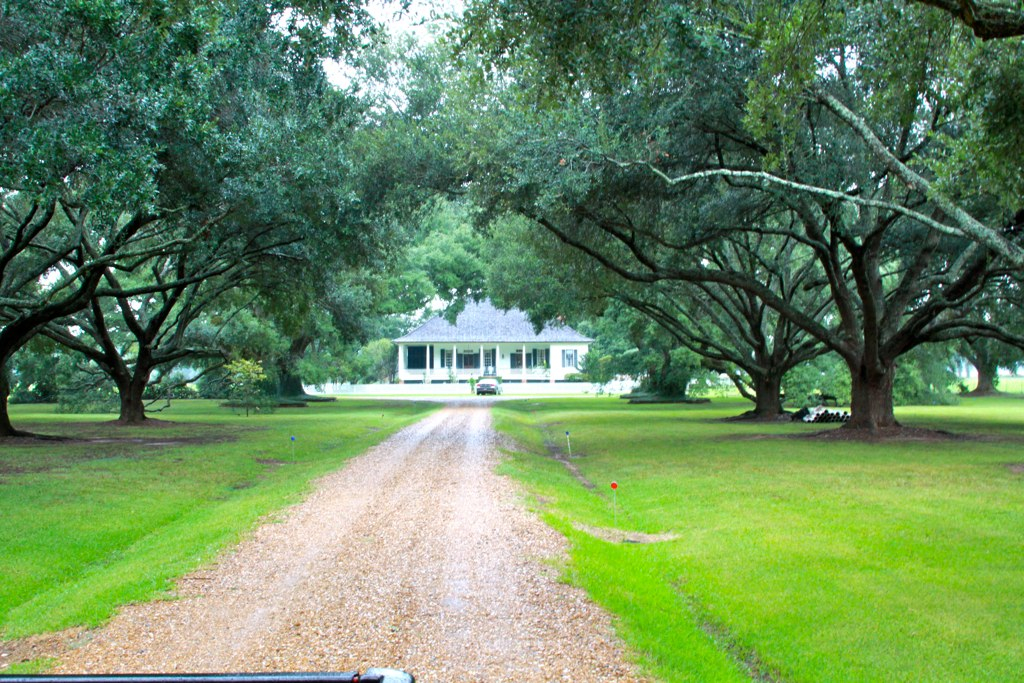 Oakland Plantation Oakland Plantation Is Situated On A Be Flickr