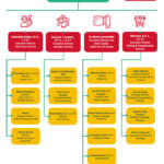 Organizational Chart University Of Houston