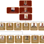 Organogram Department Of Correctional Services