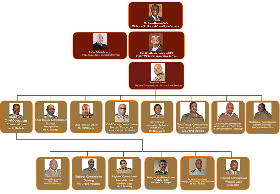 Organogram Department Of Correctional Services