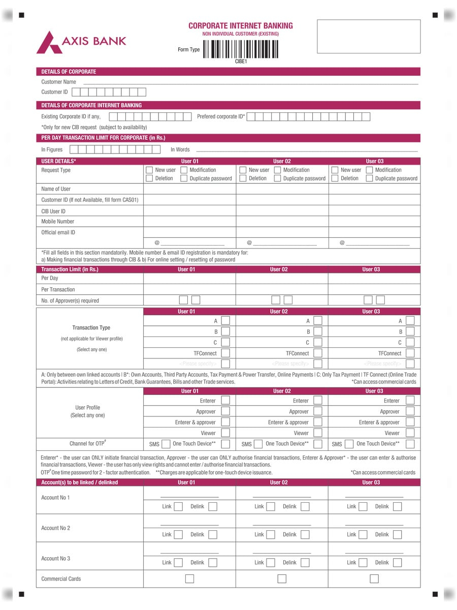  PDF Axis Bank Corporate Internet Banking Form PDF Download InstaPDF