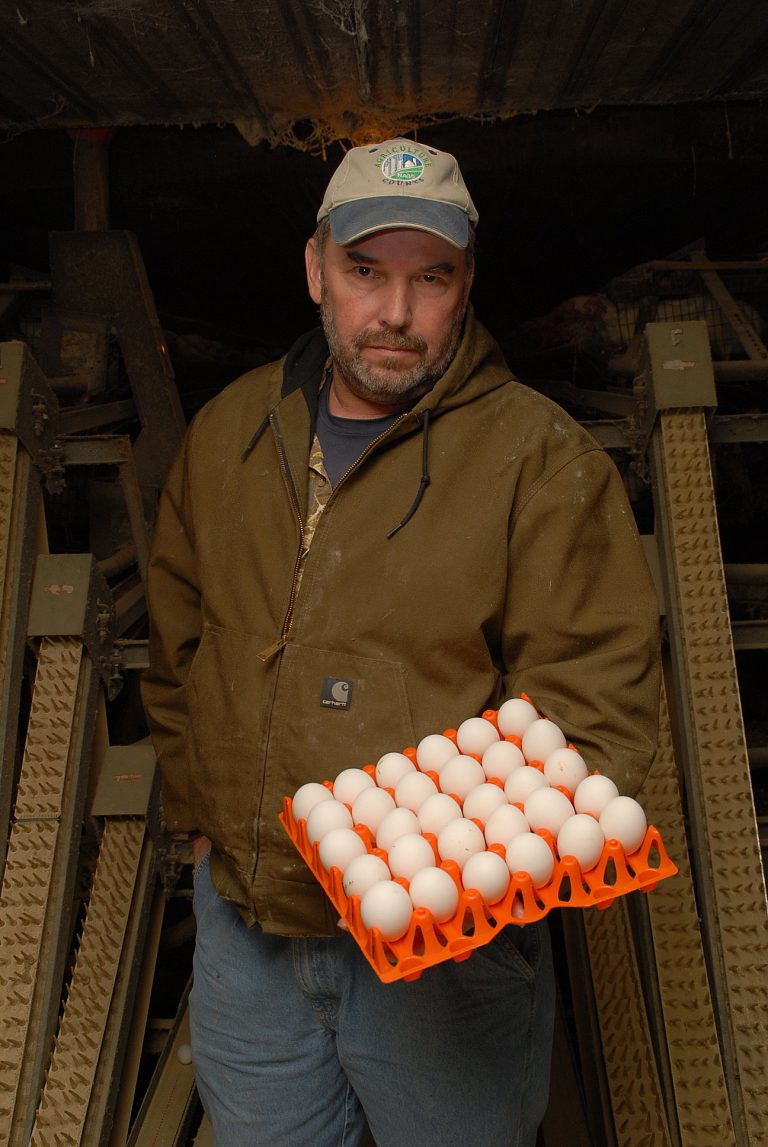 Pleasant View Egg Farm Sauder s Eggs