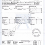 School Records Online Apostille Services