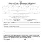 Volunteer Verification Form Fill Online Printable Fillable Blank